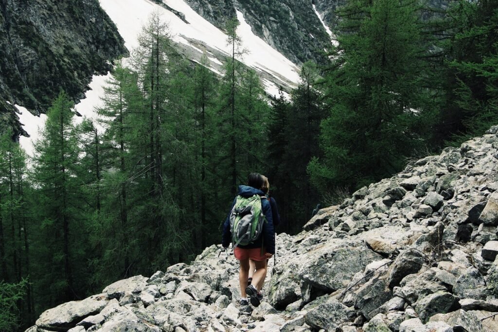 wide shot tourists hiking rocky hill surrounded by green pine trees 181624 2513 1